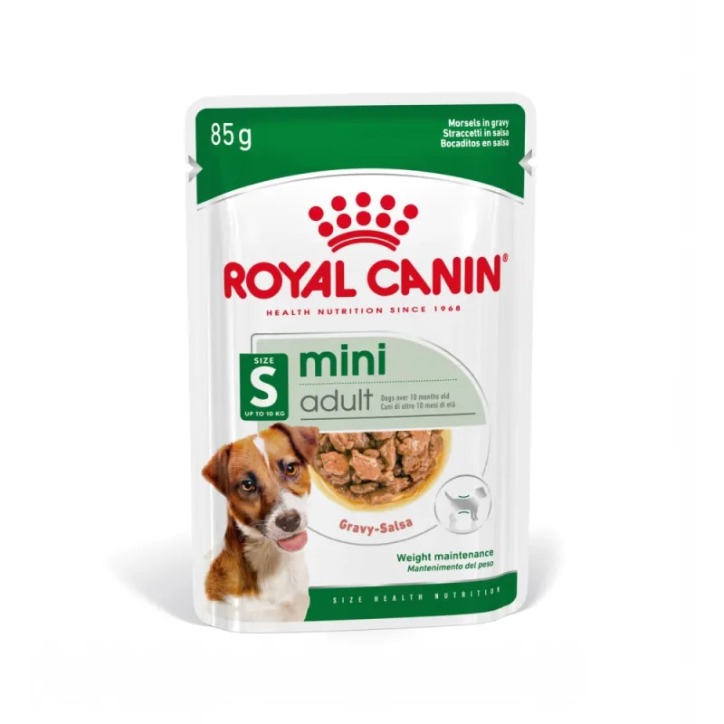 Royal Canin Shn Mini Ageing 85gr