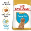 Royal Canin Poodle Puppy 3kg