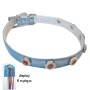Dog collar [10501448]