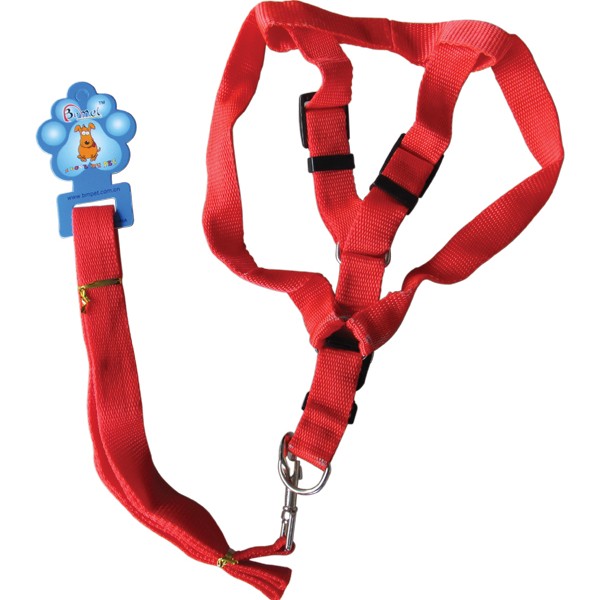 Dog leash-samari [10501455]