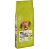 Purina Dog Chow Adult Αρνί 14kg