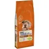 Purina Dog Chow Mature Senior Κοτόπουλο 14kg