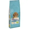 Purina Dog Chow Puppy Κοτόπουλο 2.5kg
