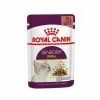Royal Canin Sensory Smell σε Σάλτσα 85gr