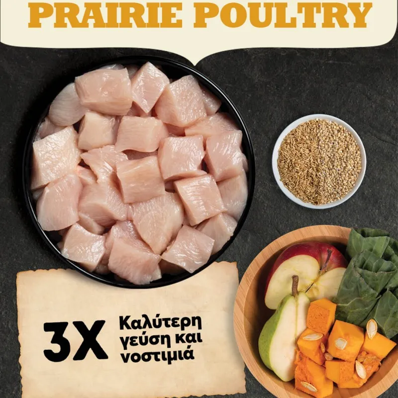 ACANA DOG PRAIRIE POULTRY 2KG