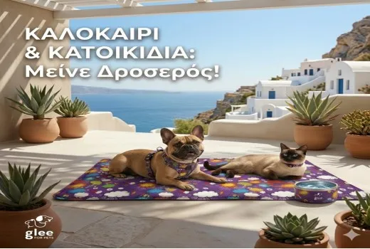 Καλοκαίρι & Κατοικίδια: 5 Tips για να παραμείνει ο σκύλος και η γάτα σας δροσεροί στον καύσωνα