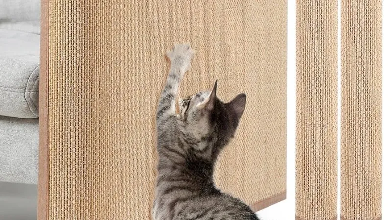 Γιατί η γάτα γρατζουνάει τα έπιπλα;