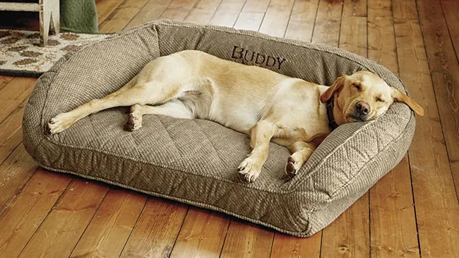 Πώς να επιλέξετε το σωστό κρεβάτι για τον σκύλο σας