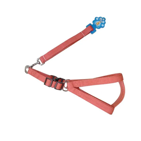 Λουρί - σαμάρι σκύλου 1,5 x 120 εκ [10501641]