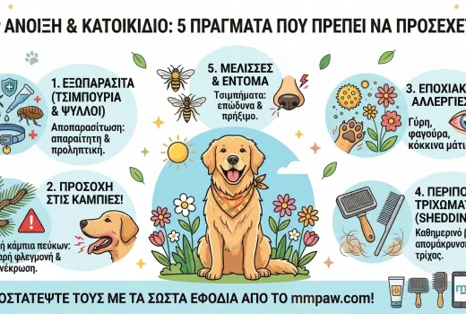 Άνοιξη & Κατοικίδιο: 5 Πράγματα που Πρέπει να Προσέχει Κάθε Κηδεμόνας Σκύλου