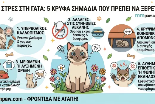 Μήπως η γατούλα σας υποφέρει από στρες και δεν το ξέρετε; 