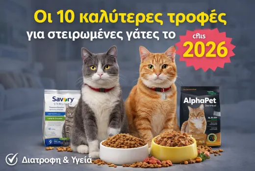  Οι 10 καλύτερες τροφές για στειρωμένες γάτες το 2026