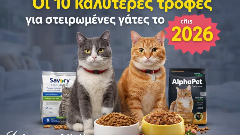  Οι 10 καλύτερες τροφές για στειρωμένες γάτες το 2026