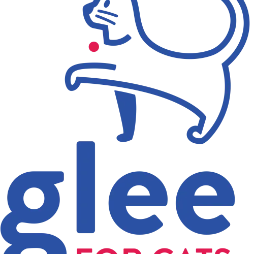 Glee for Cats