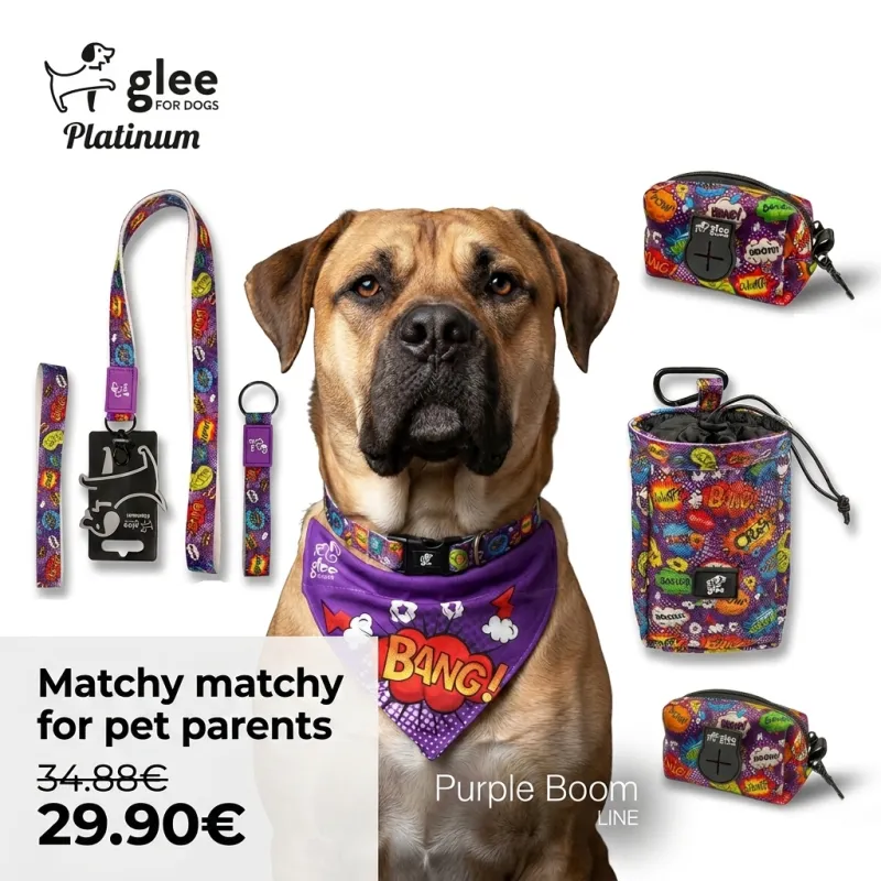 Matchy Matchy for Pet Parents: Set "Purple Boom"
